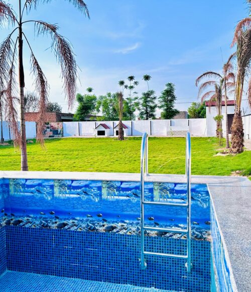 Luxury Living Experience