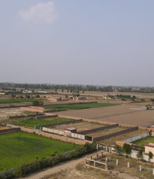 Luxury Living Experience